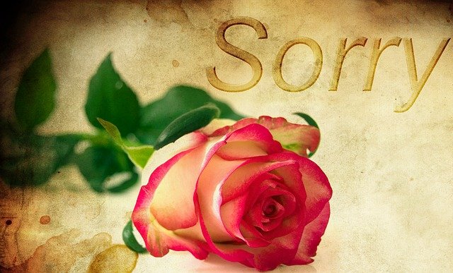 Rose to say sorry