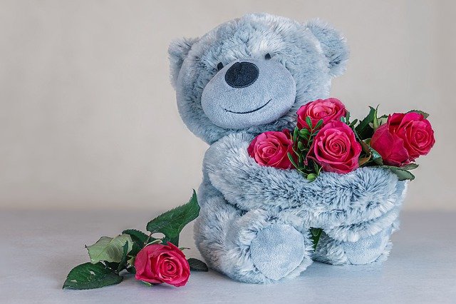Teddy Bear holding Roses
