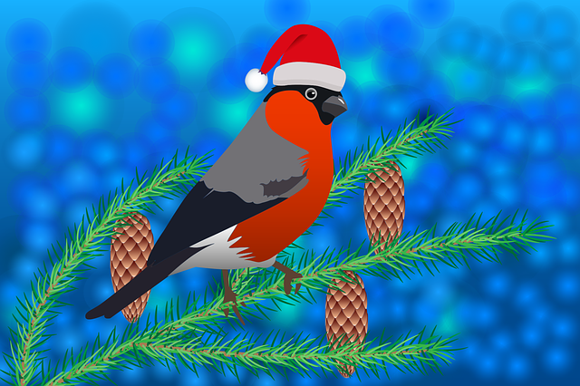cartoon of bullfinch bird wearing Santa hat