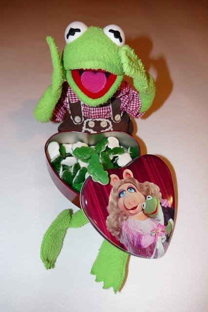 kermit the frog