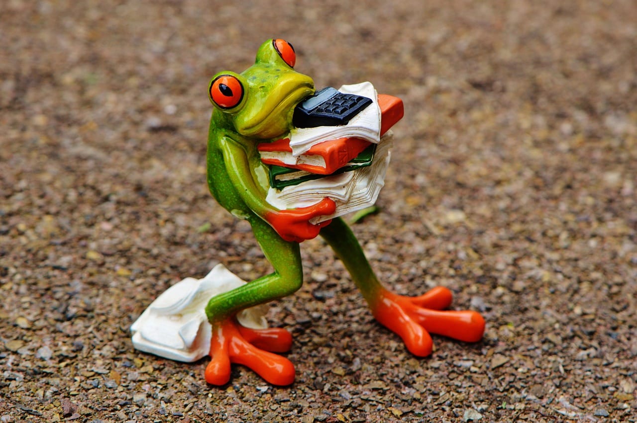 Frog carrying pile of papers